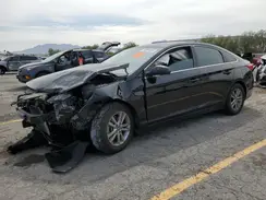 5NPE24AF1HH470790 2017 HYUNDAI SONATA