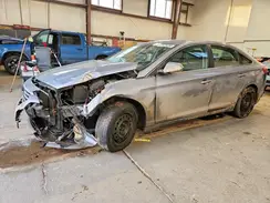 5NPE24AF1HH479067 2017 HYUNDAI SONATA