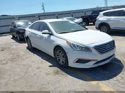 5NPE24AF1HH486200 2017 HYUNDAI SONATA