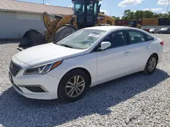 5NPE24AF1HH487329 2017 HYUNDAI SONATA