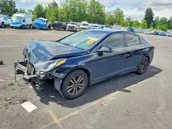 5NPE24AF1HH488187 2017 HYUNDAI SONATA