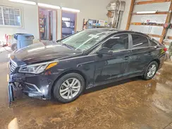 5NPE24AF1HH494586 2017 HYUNDAI SONATA