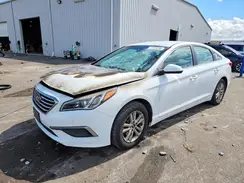 5NPE24AF1HH496337 2017 HYUNDAI SONATA
