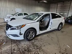 5NPE24AF1HH502136 2017 HYUNDAI SONATA