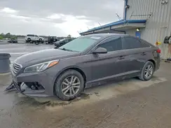 5NPE24AF1HH504260 2017 HYUNDAI SONATA