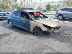 5NPE24AF1HH505537 2017 HYUNDAI SONATA