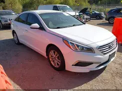 5NPE24AF1HH506607 2017 HYUNDAI SONATA