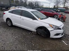 5NPE24AF1HH510771 2017 HYUNDAI SONATA