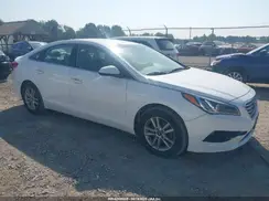 5NPE24AF1HH511211 2017 HYUNDAI SONATA