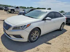 5NPE24AF1HH514271 2017 HYUNDAI SONATA
