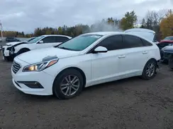 5NPE24AF1HH516134 2017 HYUNDAI SONATA