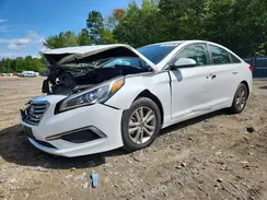 5NPE24AF1HH519177 2017 HYUNDAI SONATA