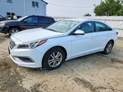 5NPE24AF1HH523164 2017 HYUNDAI SONATA