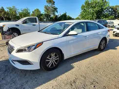 5NPE24AF1HH525559 2017 HYUNDAI SONATA