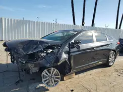 5NPE24AF1HH529336 2017 HYUNDAI SONATA