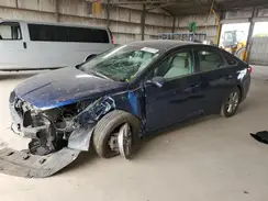 5NPE24AF1HH530499 2017 HYUNDAI SONATA