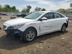 5NPE24AF1HH533869 2017 HYUNDAI SONATA