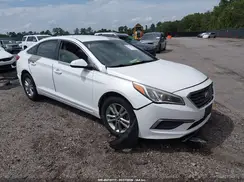 5NPE24AF1HH537663 2017 HYUNDAI SONATA