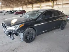 5NPE24AF1HH542619 2017 HYUNDAI SONATA