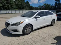 5NPE24AF1HH547254 2017 HYUNDAI SONATA