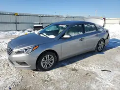 5NPE24AF1HH551725 2017 HYUNDAI SONATA