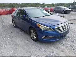 5NPE24AF1HH557976 2017 HYUNDAI SONATA