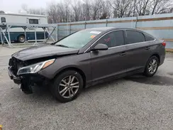 5NPE24AF1HH561168 2017 HYUNDAI SONATA