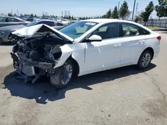 5NPE24AF1HH561770 2017 HYUNDAI SONATA