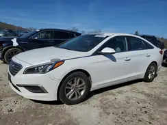 5NPE24AF1HH562563 2017 HYUNDAI SONATA
