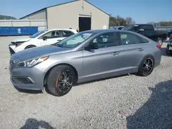5NPE24AF1HH567844 2017 HYUNDAI SONATA