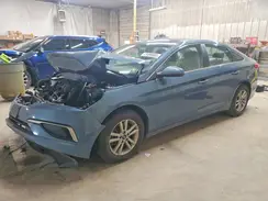 5NPE24AF1HH569996 2017 HYUNDAI SONATA