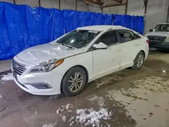 5NPE24AF1HH577726 2017 HYUNDAI SONATA