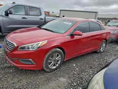 5NPE24AF1HH580464 2017 HYUNDAI SONATA