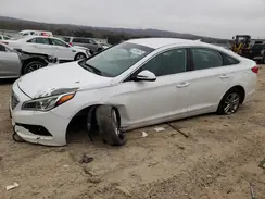 5NPE24AF1HH583896 2017 HYUNDAI SONATA