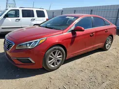 5NPE24AF1HH593442 2017 HYUNDAI SONATA