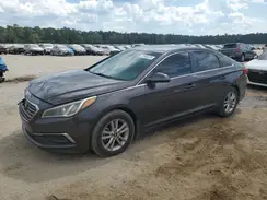 5NPE24AF1HH594624 2017 HYUNDAI SONATA