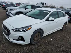 5NPE24AF1JH717411 2018 HYUNDAI SONATA