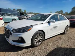 5NPE24AF1KH731830 2019 HYUNDAI SONATA