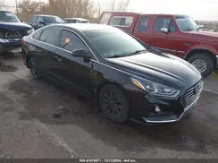 5NPE24AF1KH736414 2019 HYUNDAI SONATA