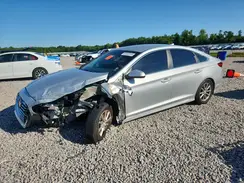 5NPE24AF1KH736509 2019 HYUNDAI SONATA