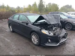 5NPE24AF1KH736753 2019 HYUNDAI SONATA