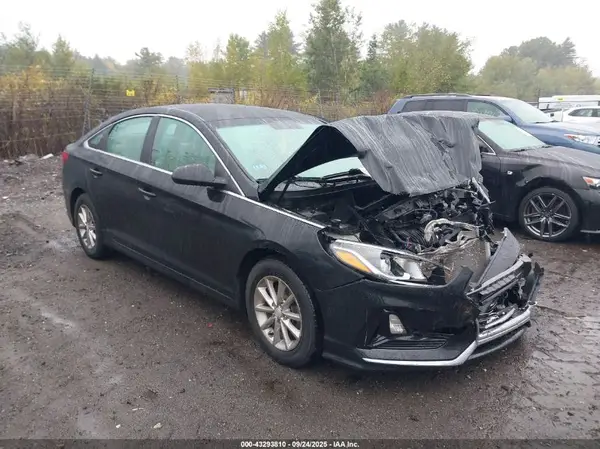 5NPE24AF1KH736753 2019 HYUNDAI SONATA - Image 1