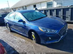 5NPE24AF1KH738891 2019 HYUNDAI SONATA