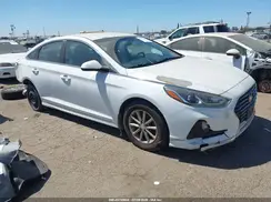 5NPE24AF1KH738910 2019 HYUNDAI SONATA