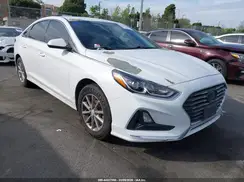 5NPE24AF1KH740835 2019 HYUNDAI SONATA