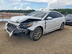 5NPE24AF1KH741063 2019 HYUNDAI SONATA