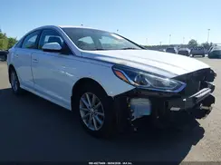 5NPE24AF1KH741158 2019 HYUNDAI SONATA