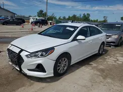 5NPE24AF1KH741502 2019 HYUNDAI SONATA