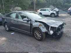 5NPE24AF1KH742875 2019 HYUNDAI SONATA