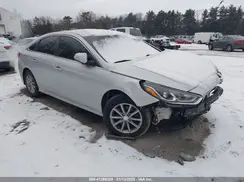 5NPE24AF1KH743704 2019 HYUNDAI SONATA
